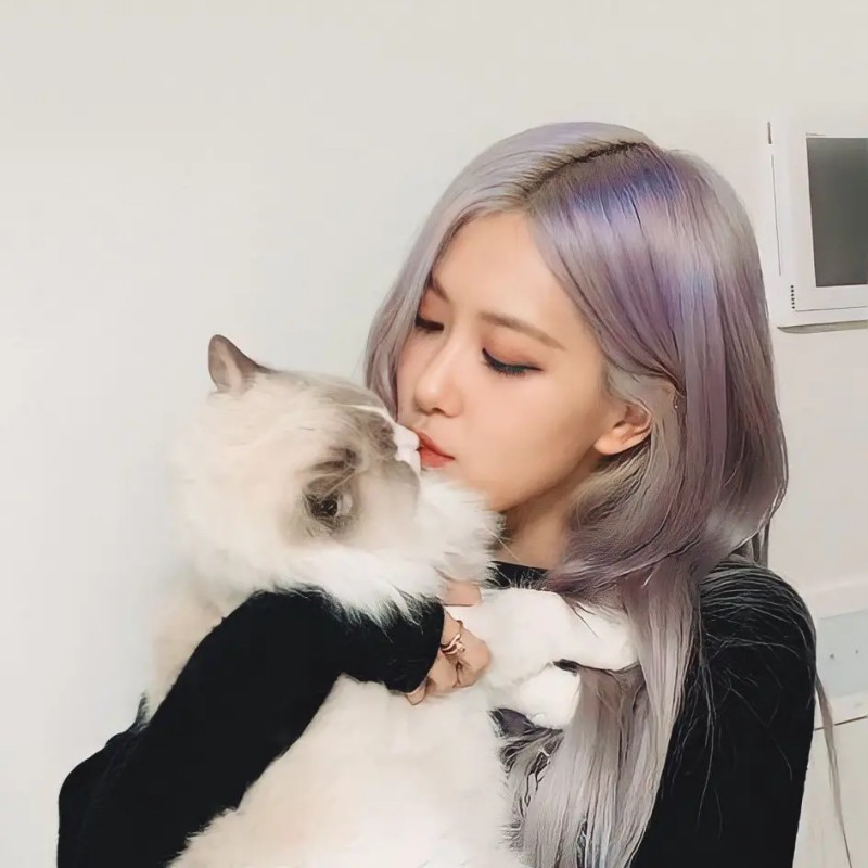 【HHBK出品】任贤齐 - 兄弟（DJ海文 House Lak Mix)