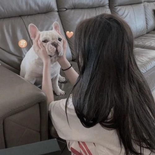 DJ珺宝 - 全国语Electro音乐抖音热暮色回响高速车载串烧