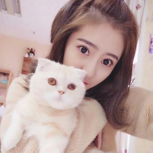 夏天Alex - 不再联系(北流DjAs ProgHouse Rmx 2025 国会鼓)