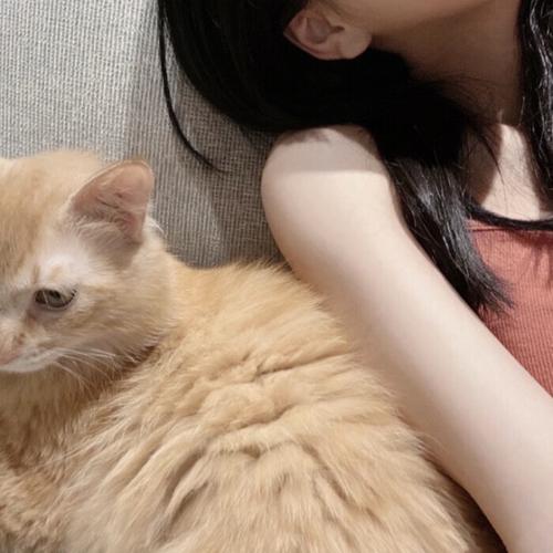 DJ珺宝 - 国粤语Electro2025精选热门流行歌曲劲爆车载专辑V25串烧