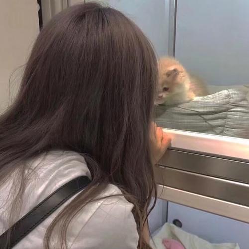 Thank you - Haozi Remaster Mix【越南鼓】