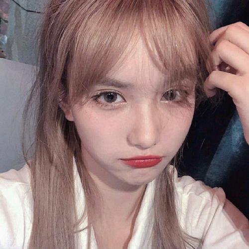 Ruyi (Xiang Xiang) 2021 - Hùng Teddy Mix【越南鼓】