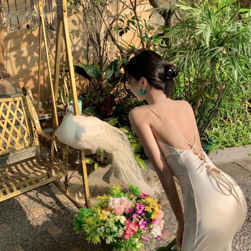 邰正宵 - 九百九十九朵玫瑰(DjBIN Electro Remix)