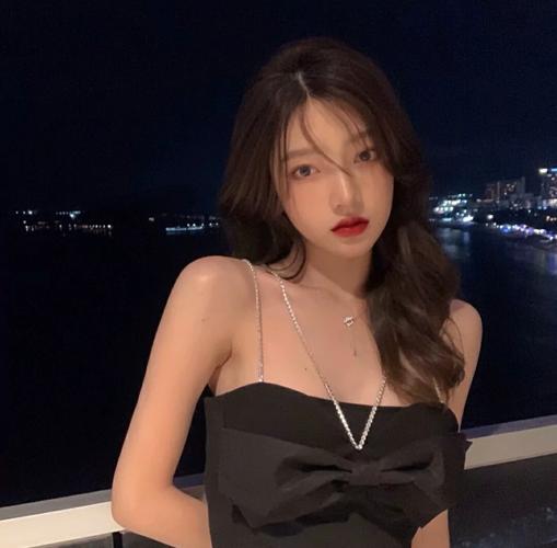 梅菜扣肉肉 一路向北 (Dj小安 FunkyHouse Mix国语女)