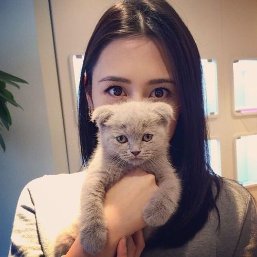 YÊU THÌ YÊU KHÔNG YÊU THÌ YÊU - Dmixx  TMK  Gatsbo Mix【越南鼓】