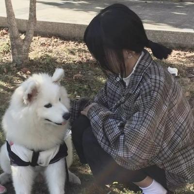 Volac  Illusionize  Tiesto - Boom In A Club - (Dj Allan Mash-Up) Mix【越南鼓】