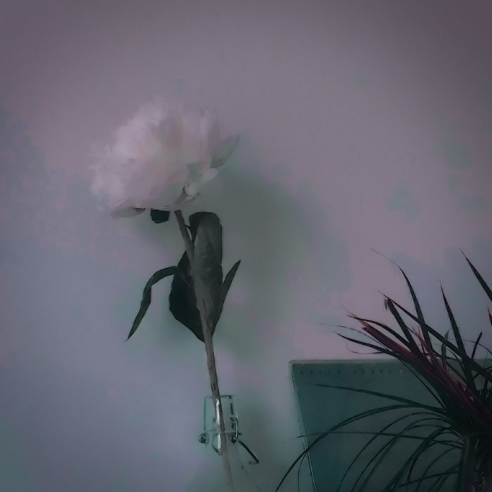 Vạn vật thay đổi vật chất lên ngôi ( Nhật Chàm Mix )【越南鼓】