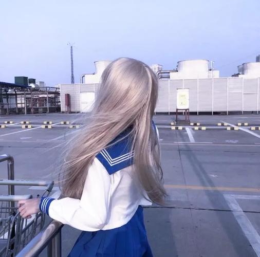 宋冬野 - 斑马斑马(Dj陆习习 ProgHouse Rmx 2025)