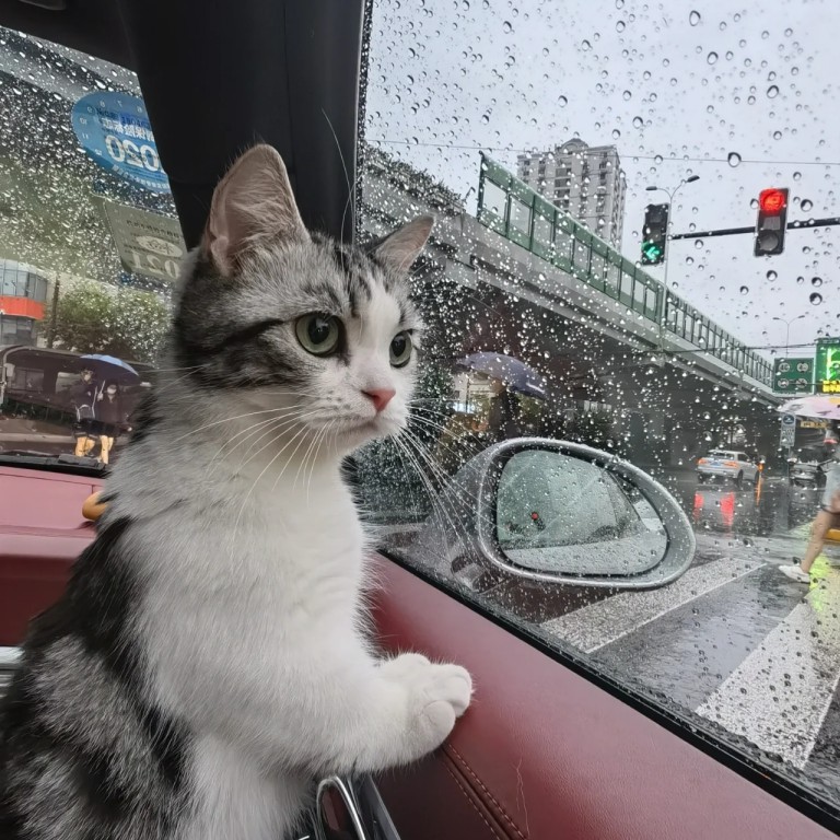 Korean Bounce Piano [Extended Mix]