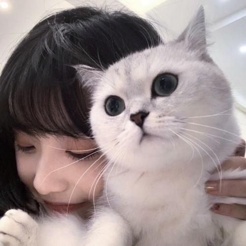 DK DINA-ID Track 01 - HB15